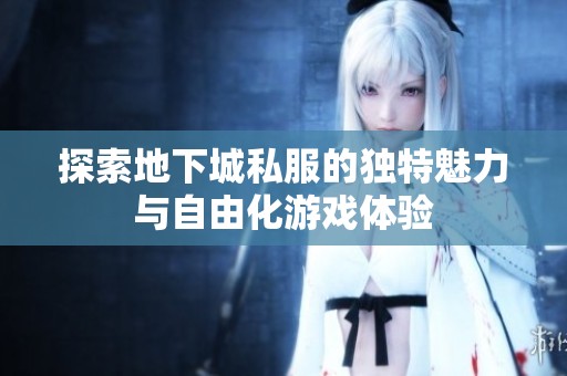 探索地下城私服的独特魅力与自由化游戏体验