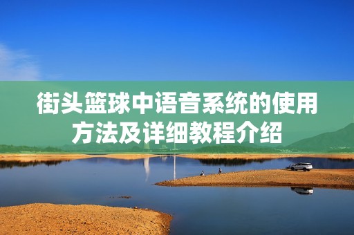 街头篮球中语音系统的使用方法及详细教程介绍