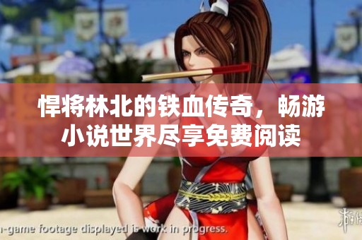 悍将林北的铁血传奇，畅游小说世界尽享免费阅读