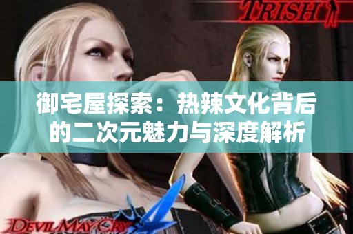 御宅屋探索：热辣文化背后的二次元魅力与深度解析