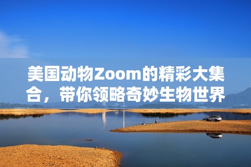 美国动物Zoom的精彩大集合，带你领略奇妙生物世界