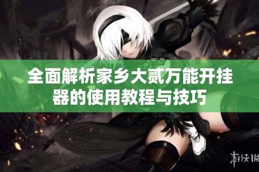 全面解析家乡大贰万能开挂器的使用教程与技巧