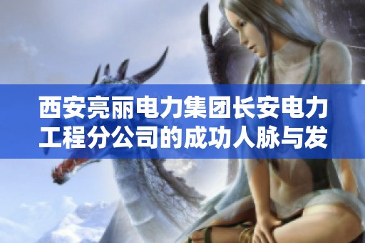 西安亮丽电力集团长安电力工程分公司的成功人脉与发展探讨