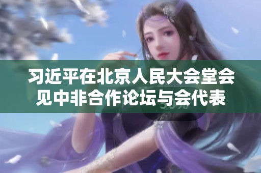 习近平在北京人民大会堂会见中非合作论坛与会代表