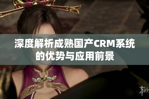 深度解析成熟国产CRM系统的优势与应用前景
