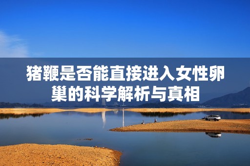 猪鞭是否能直接进入女性卵巢的科学解析与真相