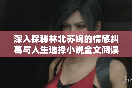 深入探秘林北苏婉的情感纠葛与人生选择小说全文阅读指南