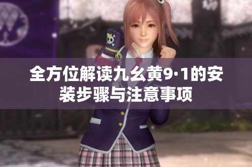 全方位解读九幺黄9·1的安装步骤与注意事项
