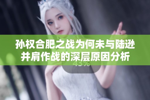 孙权合肥之战为何未与陆逊并肩作战的深层原因分析