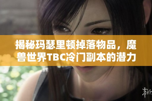 揭秘玛瑟里顿掉落物品，魔兽世界TBC冷门副本的潜力与魅力