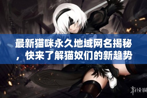 最新猫咪永久地域网名揭秘，快来了解猫奴们的新趋势