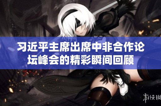 习近平主席出席中非合作论坛峰会的精彩瞬间回顾