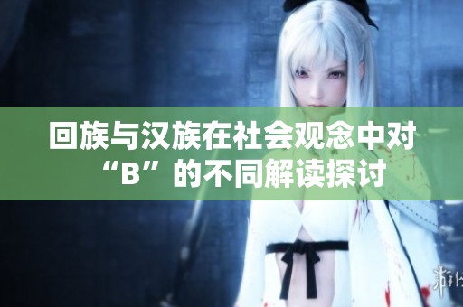 回族与汉族在社会观念中对“B”的不同解读探讨