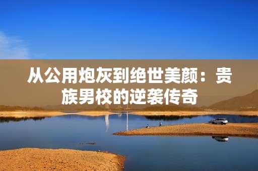 从公用炮灰到绝世美颜：贵族男校的逆袭传奇