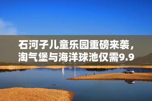 石河子儿童乐园重磅来袭，淘气堡与海洋球池仅需9.9元体验乐趣