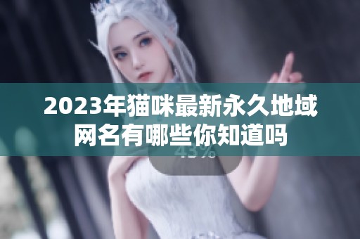 2023年猫咪最新永久地域网名有哪些你知道吗