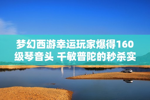 梦幻西游幸运玩家爆得160级琴音头 千敏普陀的秒杀实力究竟如何
