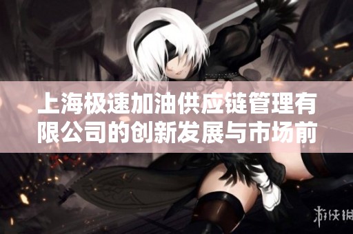 上海极速加油供应链管理有限公司的创新发展与市场前景分析