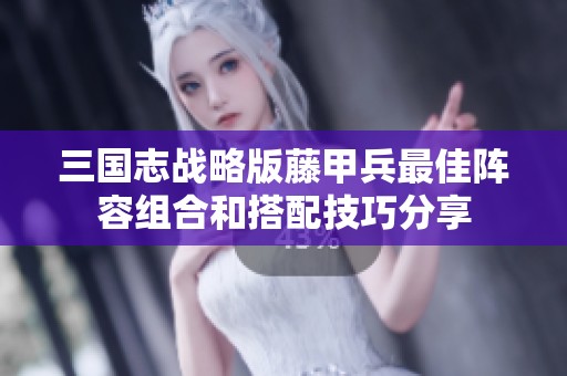 三国志战略版藤甲兵最佳阵容组合和搭配技巧分享