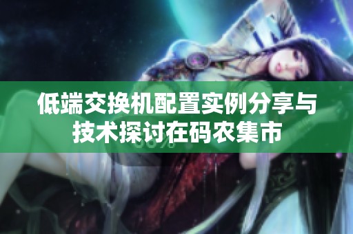 低端交换机配置实例分享与技术探讨在码农集市