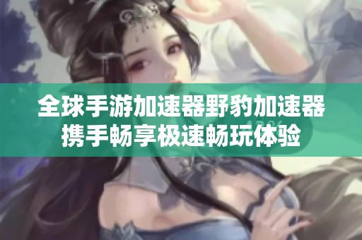 全球手游加速器野豹加速器携手畅享极速畅玩体验