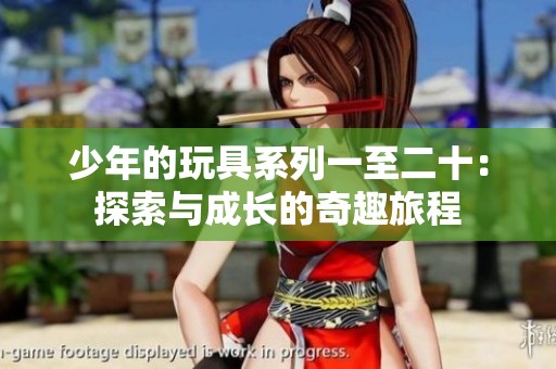 少年的玩具系列一至二十：探索与成长的奇趣旅程