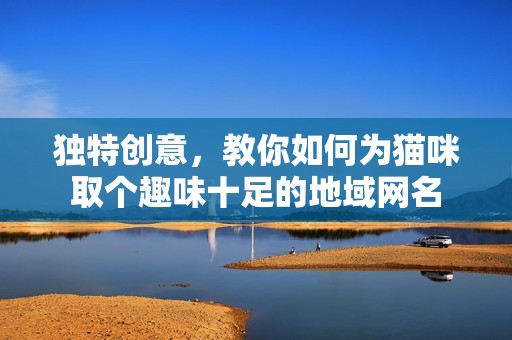 独特创意，教你如何为猫咪取个趣味十足的地域网名