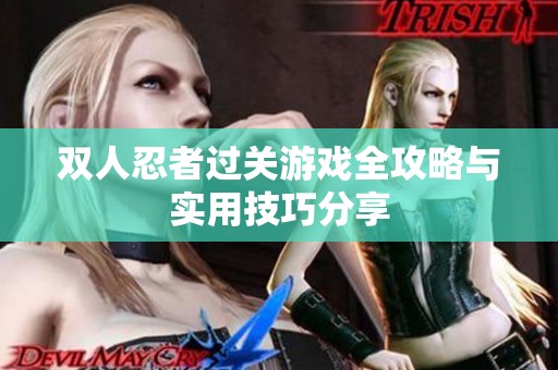 双人忍者过关游戏全攻略与实用技巧分享