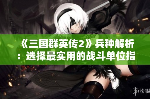 《三国群英传2》兵种解析：选择最实用的战斗单位指南
