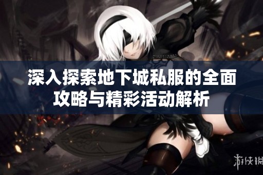 深入探索地下城私服的全面攻略与精彩活动解析