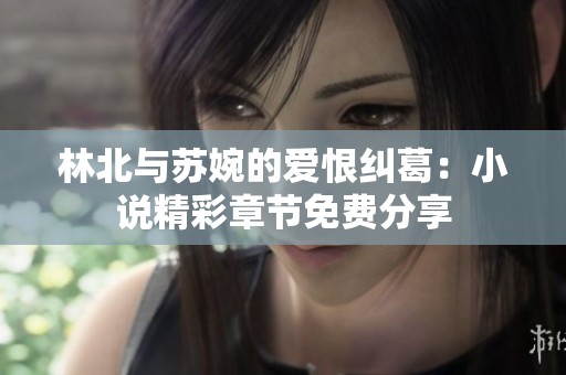 林北与苏婉的爱恨纠葛：小说精彩章节免费分享