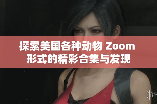 探索美国各种动物 Zoom 形式的精彩合集与发现