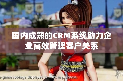 国内成熟的CRM系统助力企业高效管理客户关系