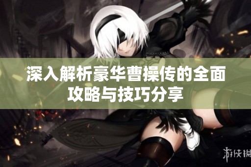 深入解析豪华曹操传的全面攻略与技巧分享