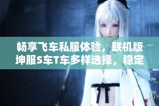 畅享飞车私服体验，联机版坤服S车T车多样选择，稳定运行爆率极优