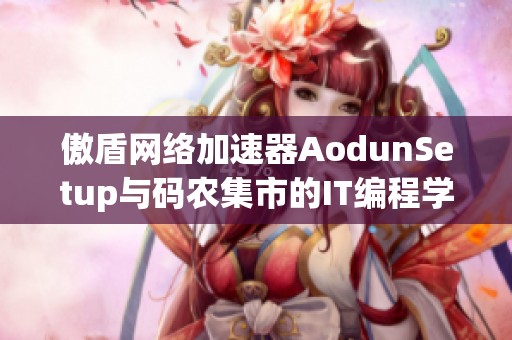 傲盾网络加速器AodunSetup与码农集市的IT编程学习资源分享