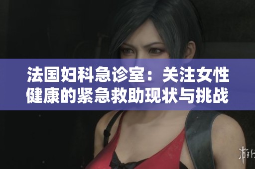 法国妇科急诊室：关注女性健康的紧急救助现状与挑战