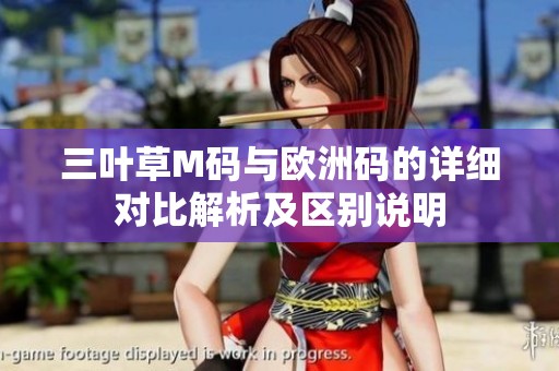 三叶草M码与欧洲码的详细对比解析及区别说明