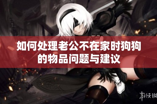 如何处理老公不在家时狗狗的物品问题与建议
