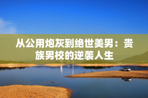 从公用炮灰到绝世美男：贵族男校的逆袭人生