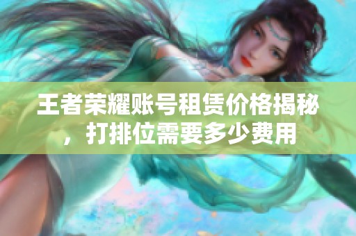 王者荣耀账号租赁价格揭秘，打排位需要多少费用