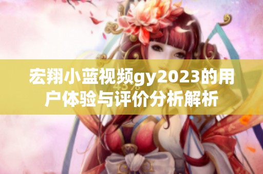 宏翔小蓝视频gy2023的用户体验与评价分析解析