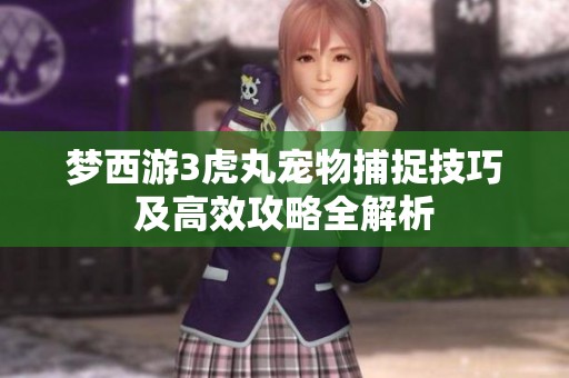 梦西游3虎丸宠物捕捉技巧及高效攻略全解析