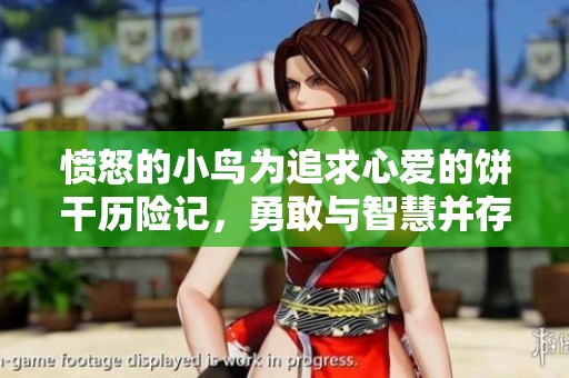 愤怒的小鸟为追求心爱的饼干历险记，勇敢与智慧并存