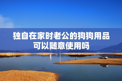 独自在家时老公的狗狗用品可以随意使用吗