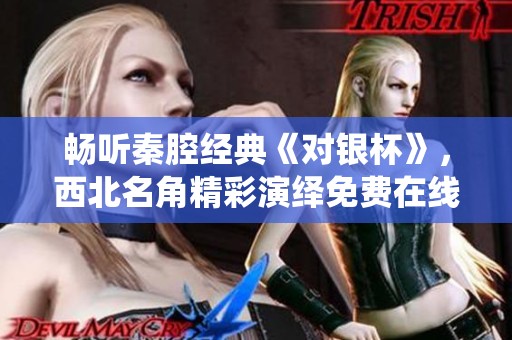 畅听秦腔经典《对银杯》，西北名角精彩演绎免费在线观看