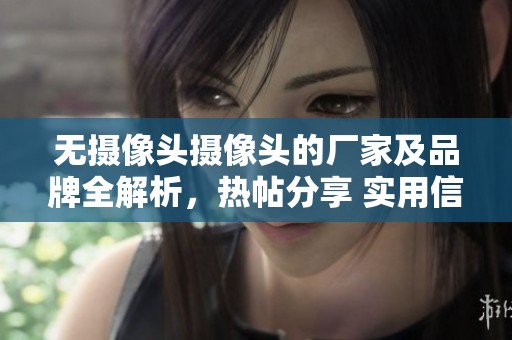 无摄像头摄像头的厂家及品牌全解析，热帖分享 实用信息大汇总