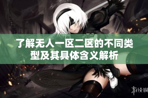 了解无人一区二区的不同类型及其具体含义解析