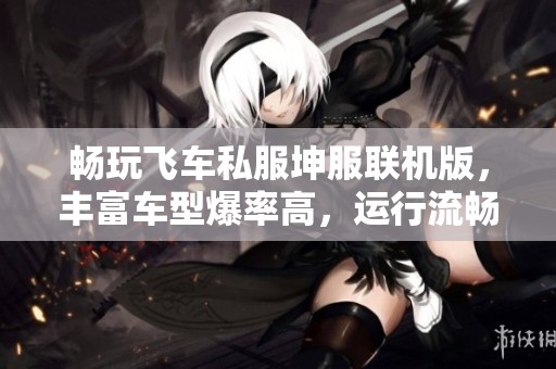 畅玩飞车私服坤服联机版，丰富车型爆率高，运行流畅体验无限