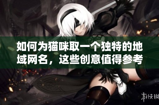 如何为猫咪取一个独特的地域网名，这些创意值得参考